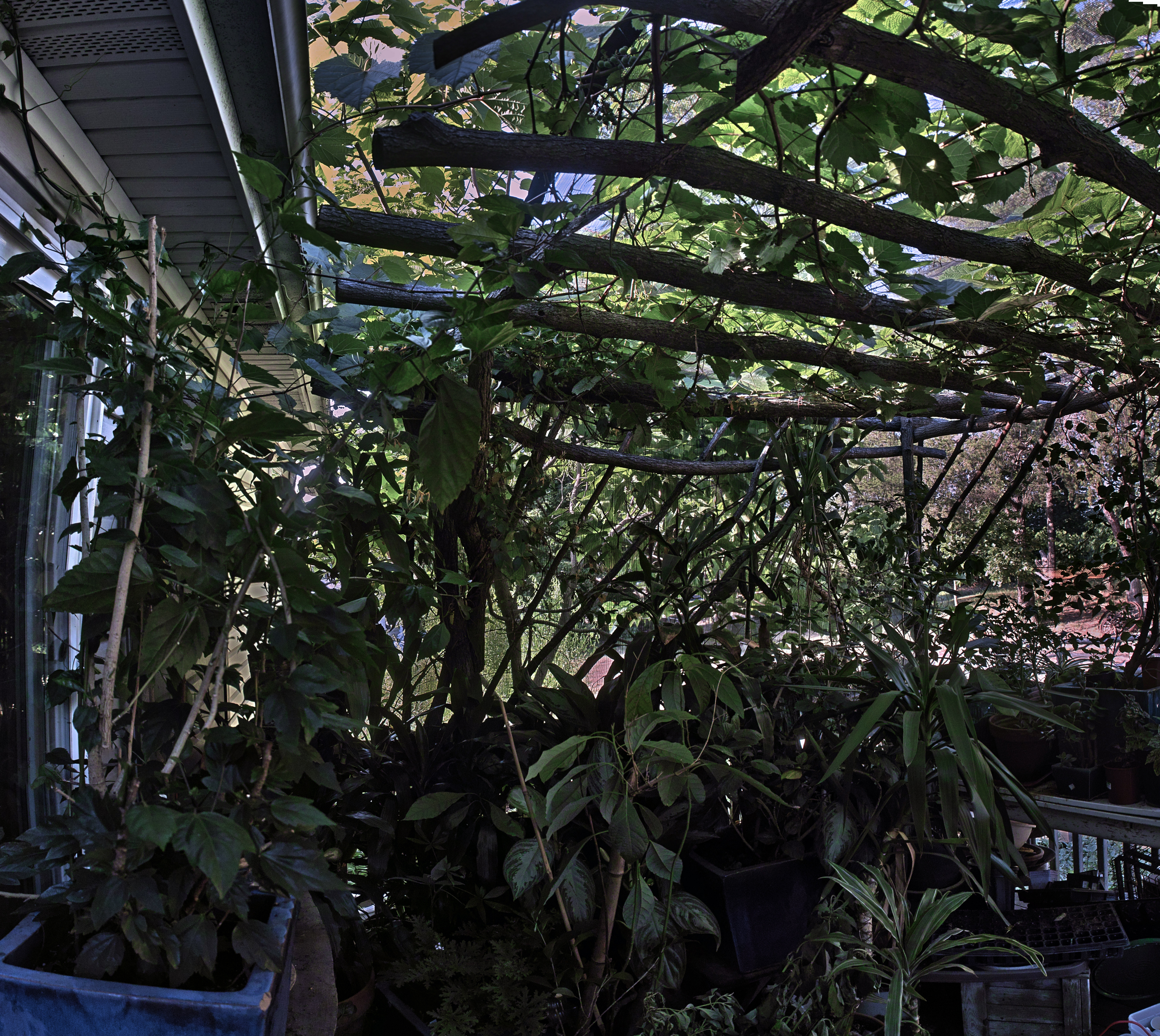 garden_pano2.jpg